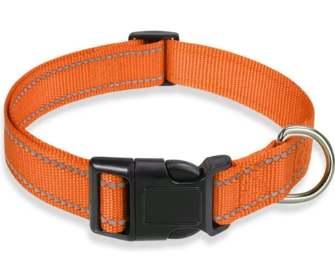 Collare per cani con cinturino pettorale regolabile