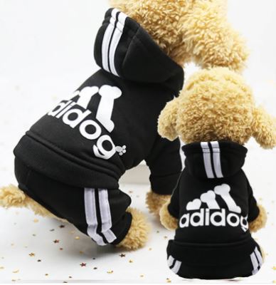 Abbigliamento caldo e casual per cani