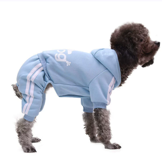 Abbigliamento caldo e casual per cani
