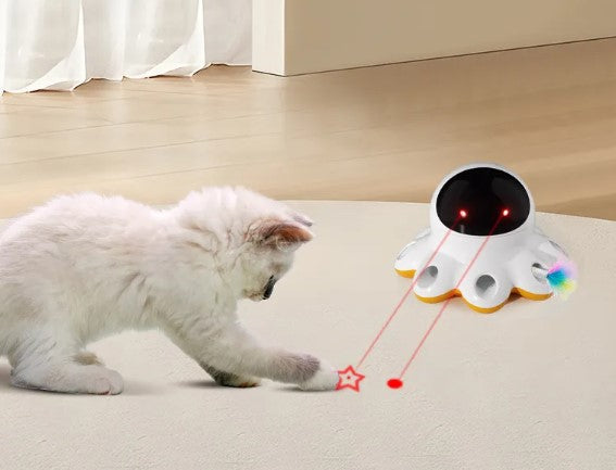 Giocattolo elettrico per gatti