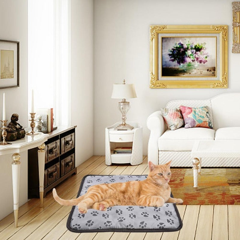 Coperta riscaldata per animali domestici
