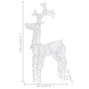 Renne e Slitta Decorazione Natale 90 LED 60x16x100 cm Acrilico