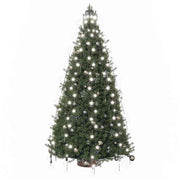 Rete di Luce per Albero di Natale 210 LED Bianco Freddo 210 cm