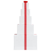 Confezione Regalo Decorazioni Natalizie 250 LED Bianco Caldo