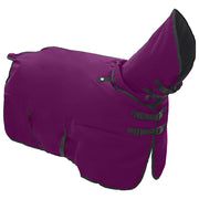 Coperta per Cavalli Viola Completo 135 cm Poliestere