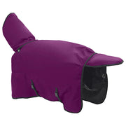 Coperta per Cavalli Viola Completo 135 cm Poliestere