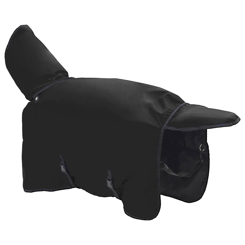 Coperta per Cavalli Nero Completo 165 cm Poliestere