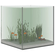 Acquario con archiviazione Trasparente 30 x 30 x 30 cm Vetro