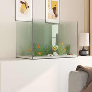 Acquario con archiviazione Trasparente 60 x 35 x 40 cm Vetro