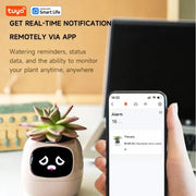 Tuya Gen1 Ivy Smart Planter divertimento infinito con oltre 49 espressioni ricche - immagine 4