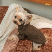 Maglione pullover in tinta unita semplice casual per cani autunnali e invernali di - immagine 7