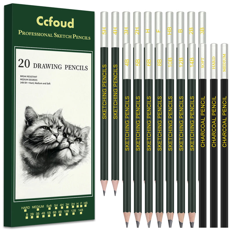 Set Professionale Matite da Disegno e Schizzo Kit artistico completo per disegno, schizzi e colorazione creativa