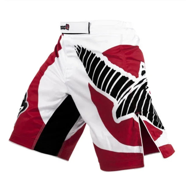 MMA drago nero Aquila sottotitoli sportivi traspiranti boxe allenamento corto - immagine 11