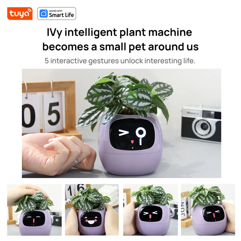 Tuya Gen1 Ivy Smart Planter divertimento infinito con oltre 49 espressioni ricche - immagine 3