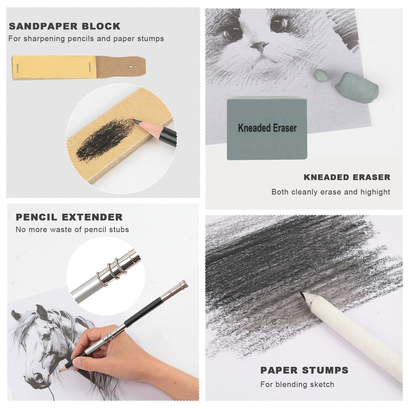 Set Professionale Matite da Disegno e Schizzo Kit artistico completo per disegno, schizzi e colorazione creativa