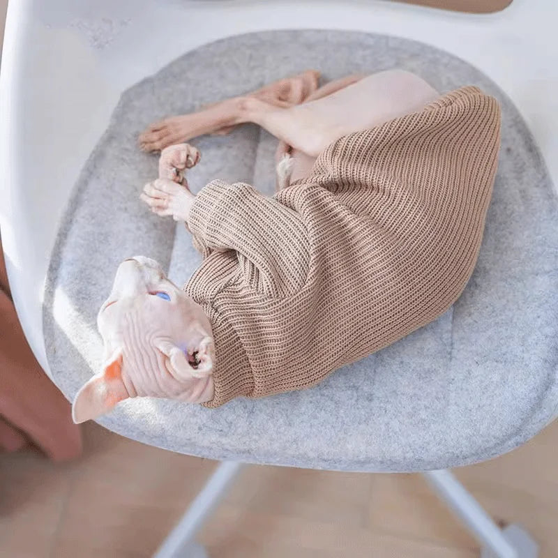 Maglione pullover in tinta unita semplice casual per cani autunnali e invernali di - immagine 2