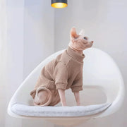 Maglione pullover in tinta unita semplice casual per cani autunnali e invernali di - immagine 3