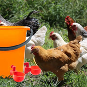 10/20 Pezzi Abbeveratoio Automatico per Polli Ciotola l'Alimentazione dei Pulcini - immagine 2