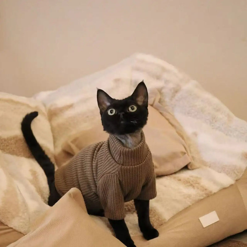 Maglione pullover in tinta unita semplice casual per cani autunnali e invernali di - immagine 4
