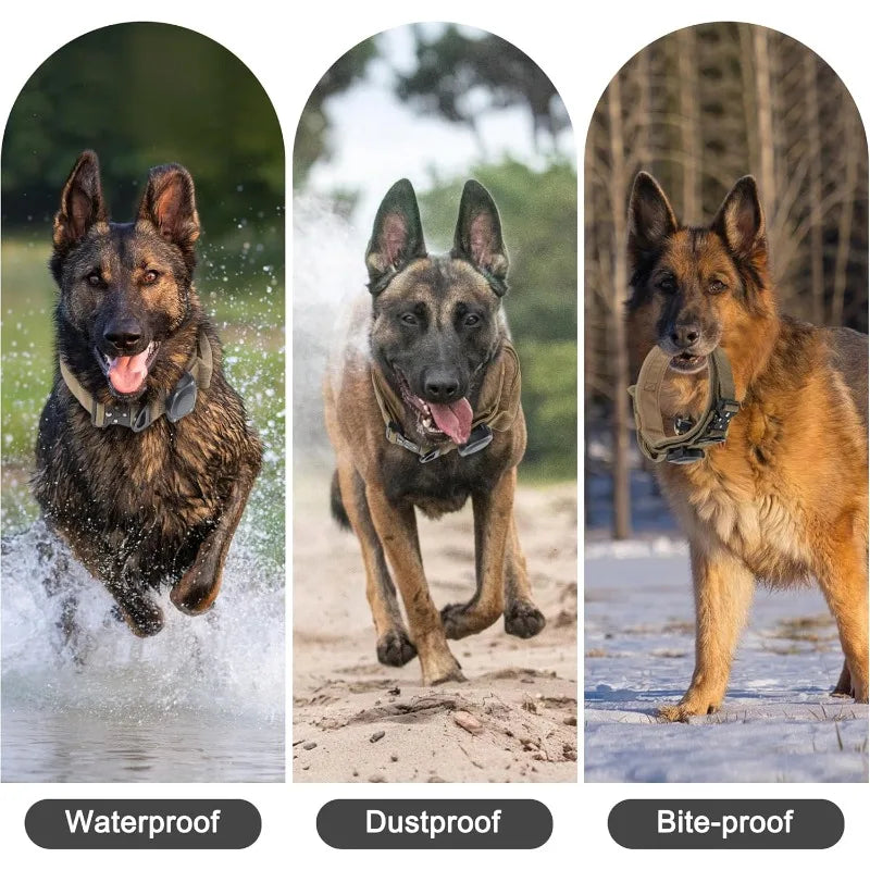Collare per cani tattico impermeabile con maniglia di controllo Pte fibbia in lega - immagine 6