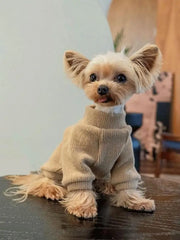 Maglione pullover in tinta unita semplice casual per cani autunnali e invernali di - immagine 8