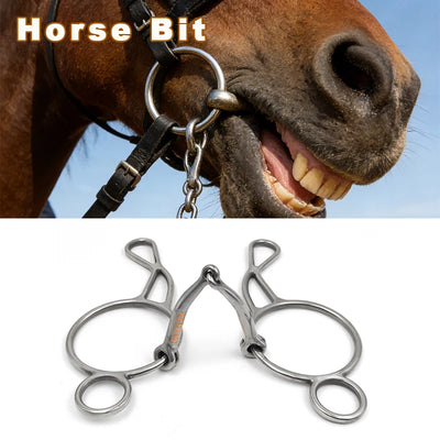 Morso per Cavalli Snaffle Hollow Large Ring: Attrezzatura Professionale Addestramento