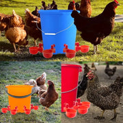 10/20 Pezzi Abbeveratoio Automatico per Polli Ciotola l'Alimentazione dei Pulcini - immagine 4