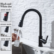 Rubinetto da cucina nero Estraibile Lavello Miscelatore per spruzzatore a flusso - 04043PBWM Star Nero