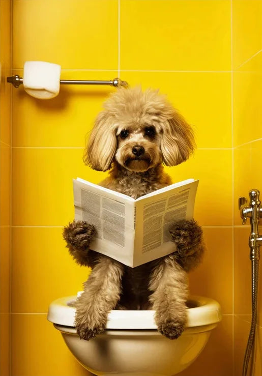 Scimpanzé Elefante Panda Animali Poster Stampa Divertente Arte Immagine da parete Pittura su tela per bagno Toilette Decorazioni per la casa Regalo