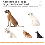 Collare di addestramento per cani ricaricabile Collari beeper da caccia elettrici e - immagine 7