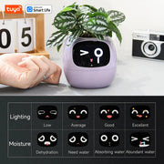 Tuya Gen1 Ivy Smart Planter divertimento infinito con oltre 49 espressioni ricche - immagine 5