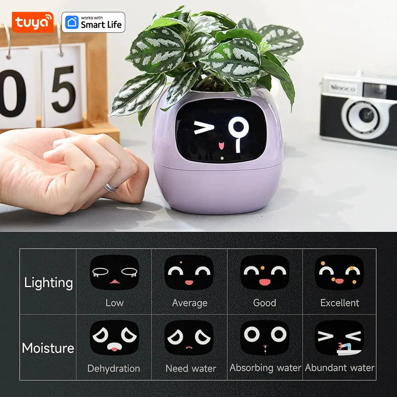 Tuya Gen1 Ivy Smart Planter divertimento infinito con oltre 49 espressioni ricche - immagine 5