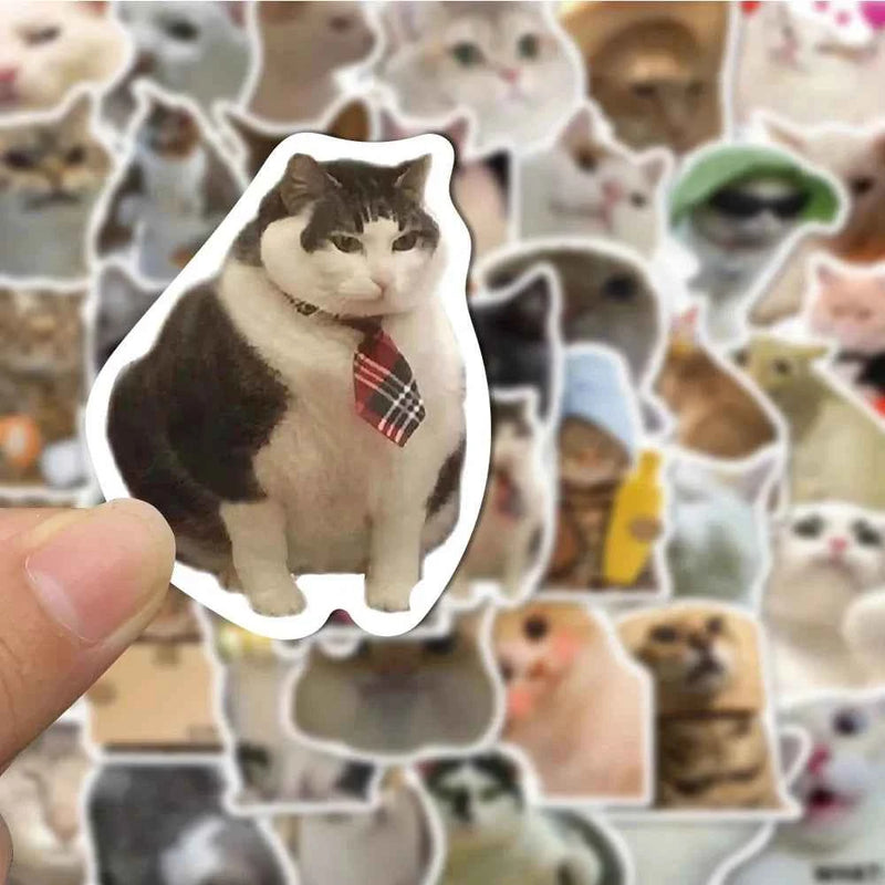 10/30/50PCS Divertente Simpatico Gatto Adesivi Cartoon Decalcomanie Tazza di Cancelleria Chitarra Telefono Bicicletta Laptop Bagagli Auto Graffiti Giocattoli
