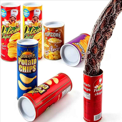 Serpente a Molla in Scatola di Patatine, Trucchi di Magia da Palcoscenico, Giocattolo Scherzo per il Giorno di Scherzi, Halloween, Feste, Regalo Gag