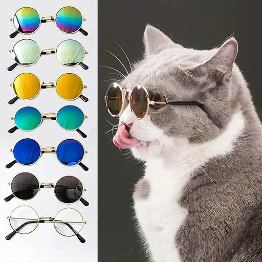 Occhiali da sole per gatti Occhiali da vista rotondi vintage adorabili con riflessione per cani di piccola taglia Foto di animali domestici Prodotti per animali Puntelli Accessori