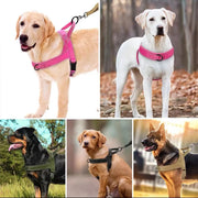 Pettorina tattica antideflagrante per trazione cani Collare di grandi dimensioni - immagine 7