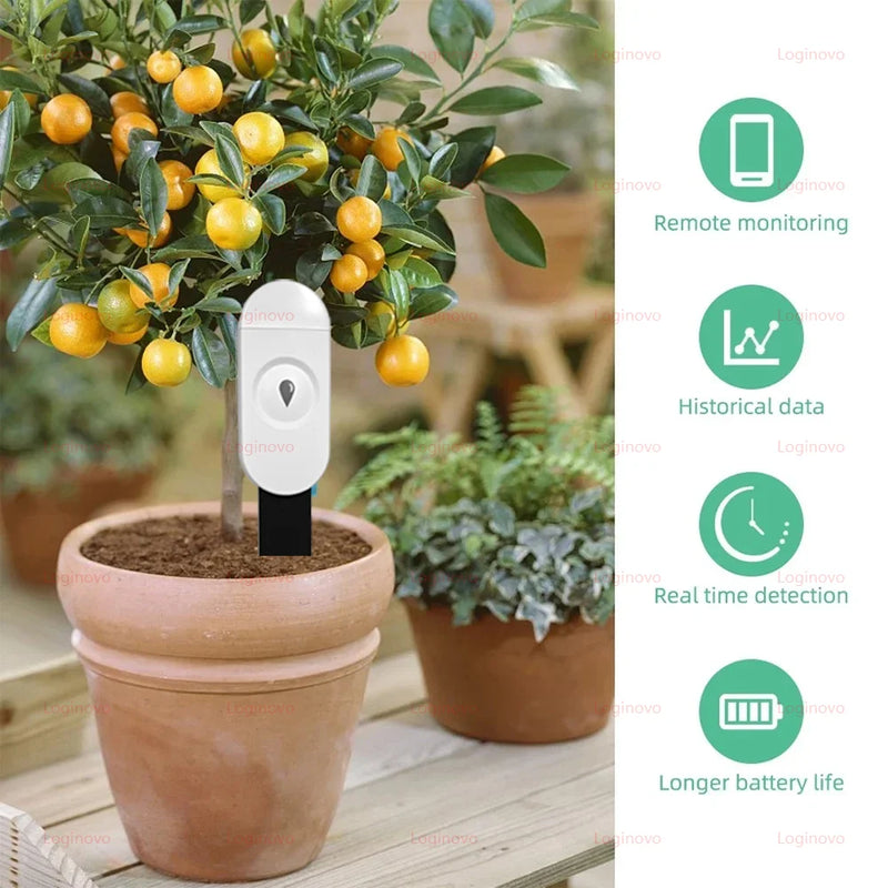 Zigbee Sensore del misuratore di umidità della temperatura dell'umidità del suolo per il sistema di irrigazione dell'automazione del giardino Tuya Smart Life 2MQTT