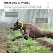 Collare di addestramento per cani ricaricabile Collari beeper da caccia elettrici e - immagine 9