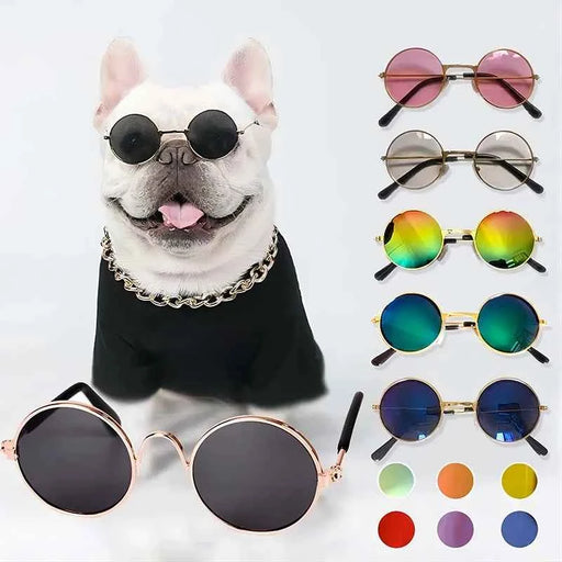 Occhiali da sole per gatti Occhiali da vista rotondi vintage adorabili con riflessione per cani di piccola taglia Foto di animali domestici Prodotti per animali Puntelli Accessori