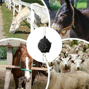 Giocattoli per box cavalli contro la noia - immagine 3