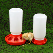 Dispenser Automatico di Acqua e Cibo per Polli Piccioni