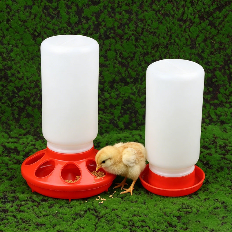Dispenser Automatico di Acqua e Cibo per Polli Piccioni