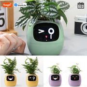 Tuya Gen1 Ivy Smart Planter divertimento infinito con oltre 49 espressioni ricche