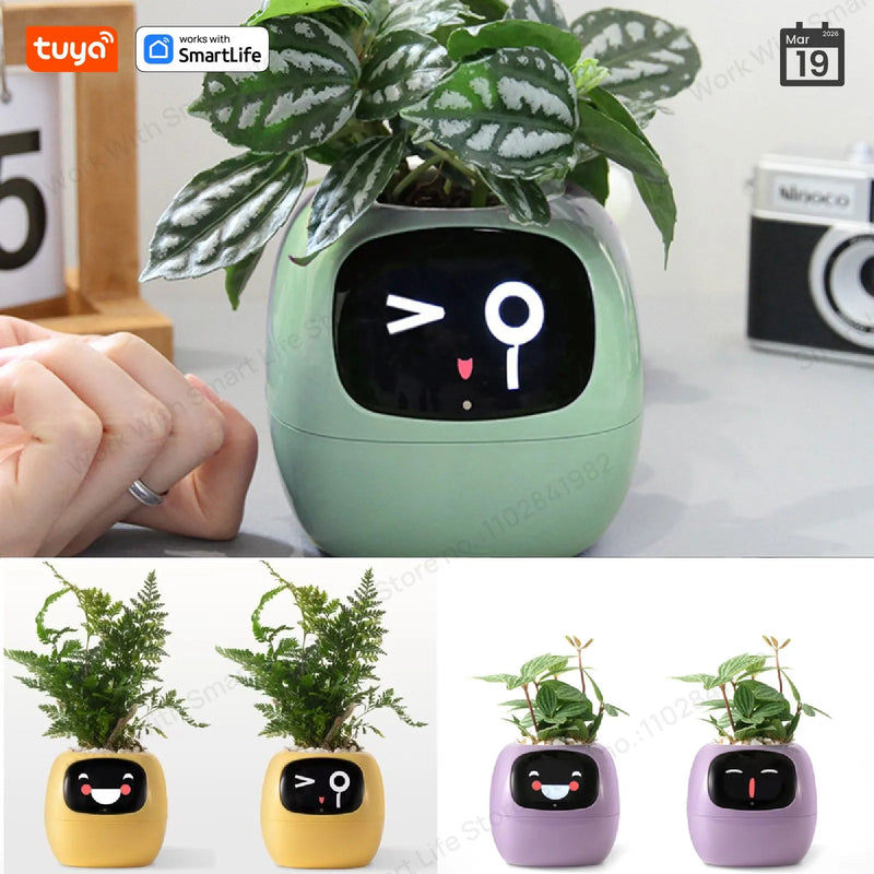 Tuya Gen1 Ivy Smart Planter divertimento infinito con oltre 49 espressioni ricche