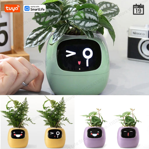 Tuya Gen1 Ivy Smart Planter divertimento infinito con oltre 49 espressioni ricche