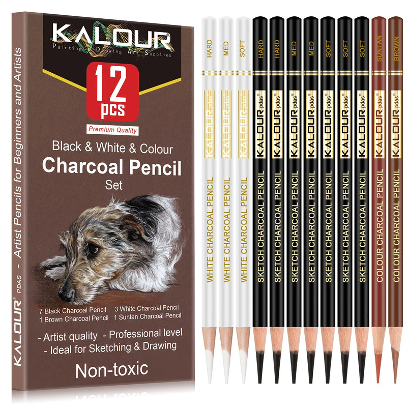 Set Professionale Matite da Disegno e Schizzo Kit artistico completo per disegno, schizzi e colorazione creativa