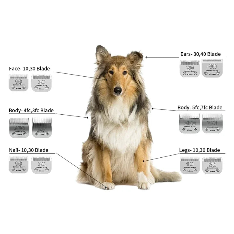 Lama in ceramica staccabile per cani e gatti compatibile con Andis,Oster A5 e 76, tagliapeli per animali serie Wahl KM 10