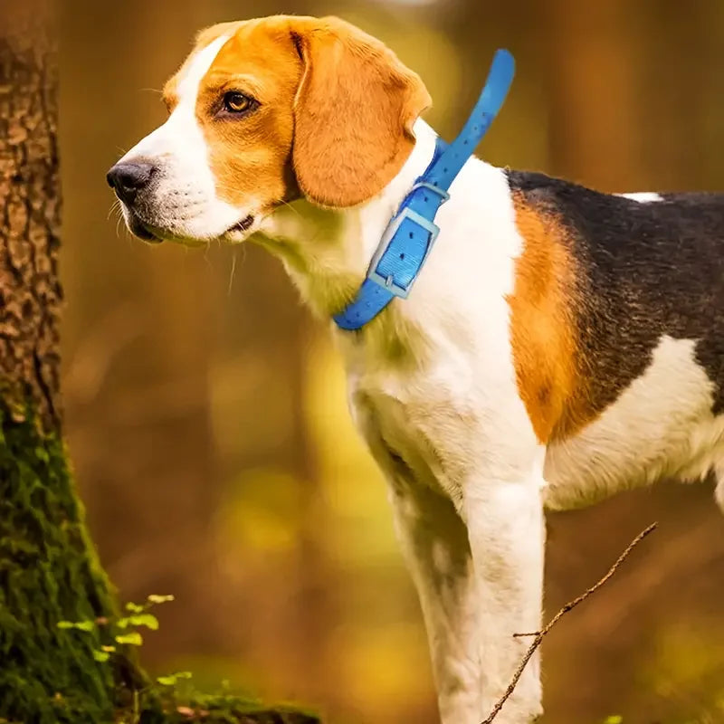 Collare per Cani da Caccia in TPU Non Tossico Impermeabile - immagine 2