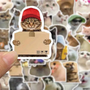 10/30/50PCS Divertente Simpatico Gatto Adesivi Cartoon Decalcomanie Tazza di Cancelleria Chitarra Telefono Bicicletta Laptop Bagagli Auto Graffiti Giocattoli