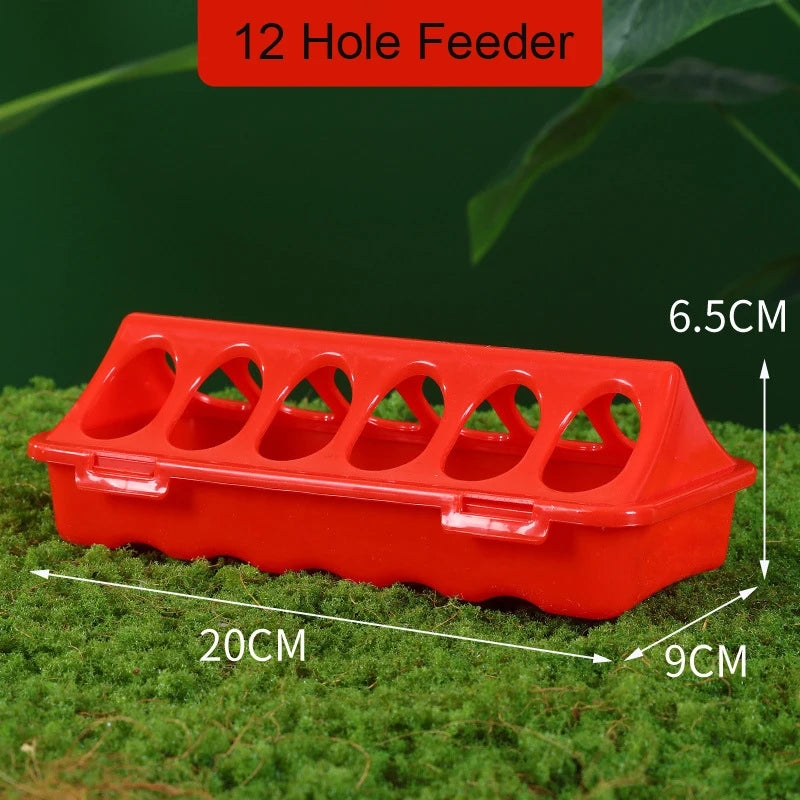 Dispenser Automatico di Acqua e Cibo per Polli Piccioni - 12 Hole Feeder